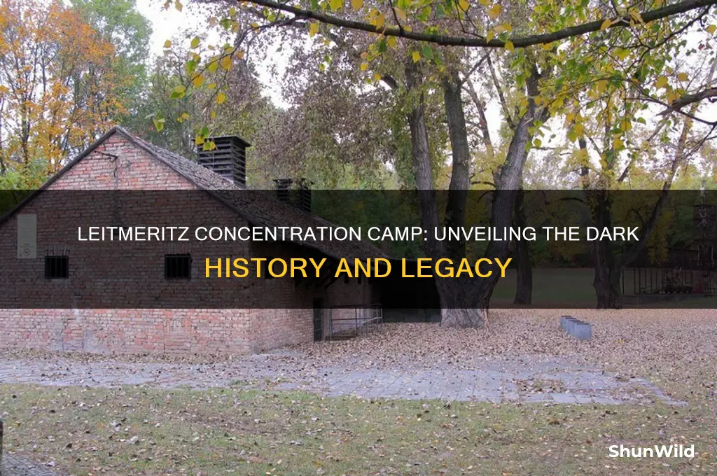 what kind of place leitmeritz concentration camp