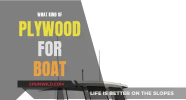 Choosing the Right Plywood for Your Boat Building Project