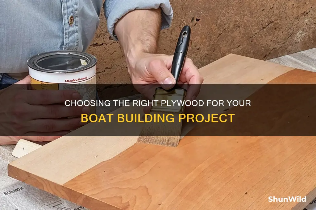 what kind of plywood for boat