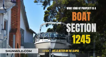 Understanding Boat Property Classification Under Section 1245