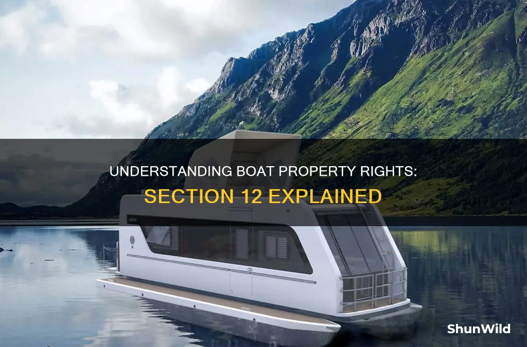 what kind of property is a boat section 12