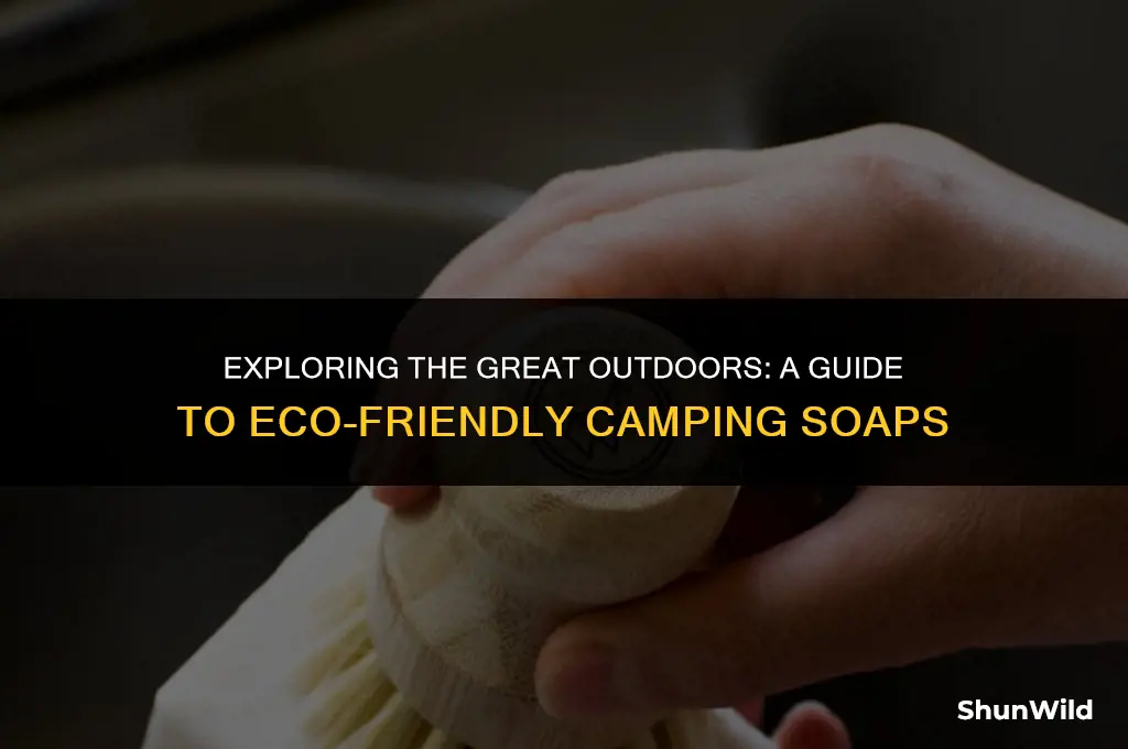 what kind of soap camping
