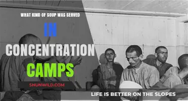 The Haunting Reality of Concentration Camp Soup: A Historical Insight