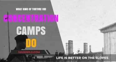 Unimaginable Horrors: Torture Methods in Concentration Camps Revealed