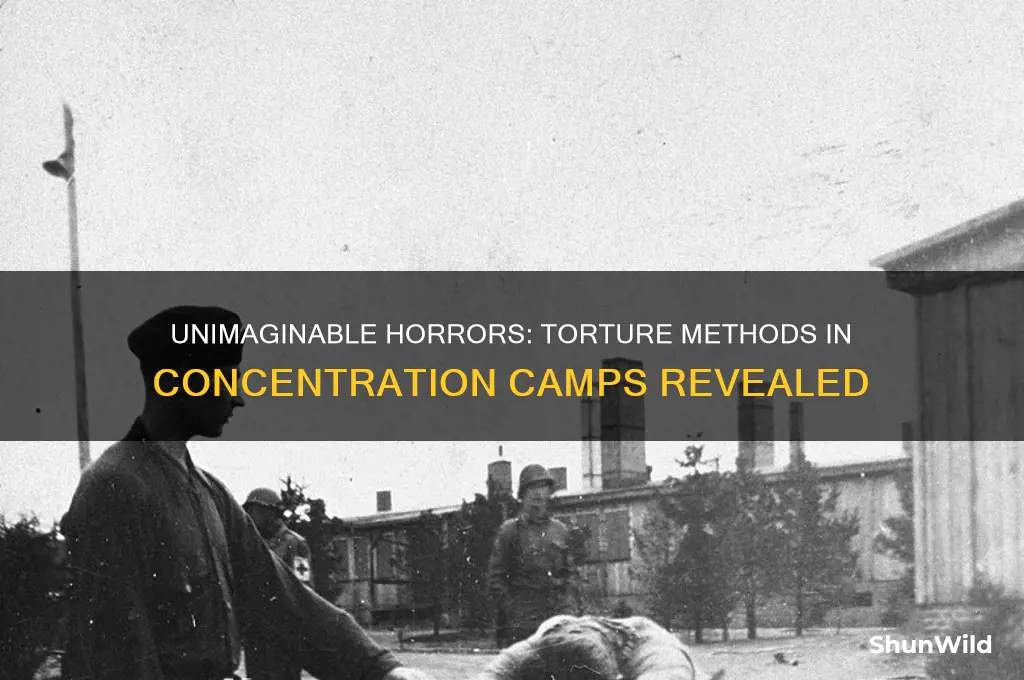 what kind of torture did concentration camps do
