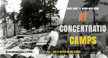 Forced Labor, Exploitation, and Atrocities: Inside Concentration Camp Work