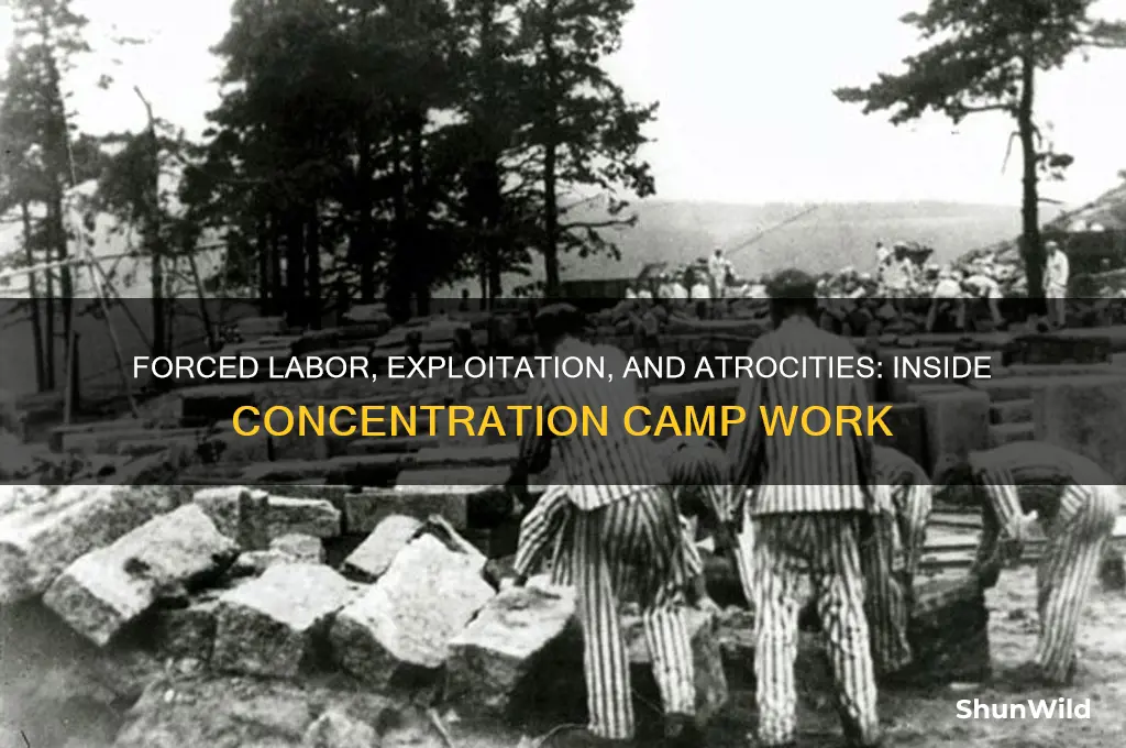what kind of work was done at concentration camps