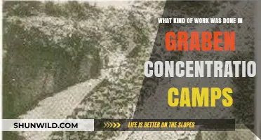 Forced Labor and Atrocities in Graben Concentration Camps Revealed