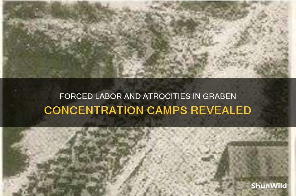 what kind of work was done in graben concentration camps