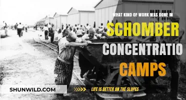 Schomberg Concentration Camps: Labor, Conditions, and Historical Insights