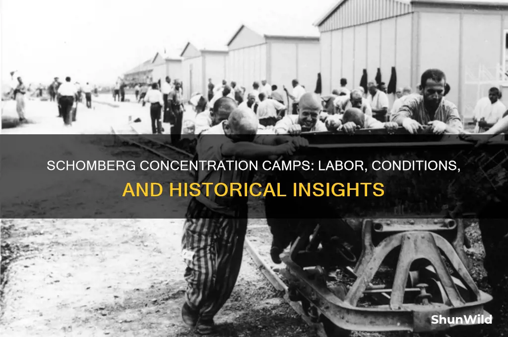 what kind of work was done in schomberg concentration camps