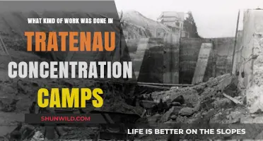 Unveiling the Brutal Labor Practices at Tratenau Concentration Camps