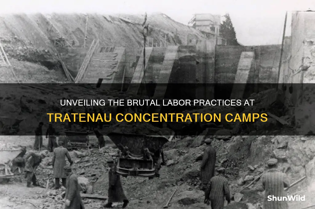 what kind of work was done in tratenau concentration camps