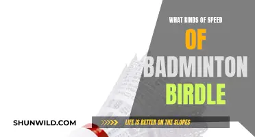 Badminton Birdie Speed: Understanding the Different Types