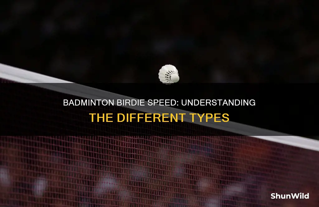 what kinds of speed of badminton birdle