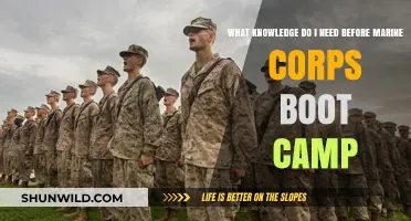 Essential Knowledge to Prepare for Marine Corps Boot Camp Success