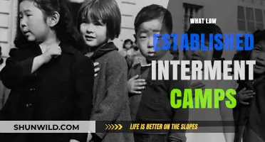 The Legal Framework Behind Internment Camps: A Historical Overview