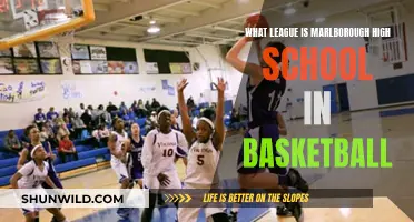 Marlborough High School's Basketball League Explained