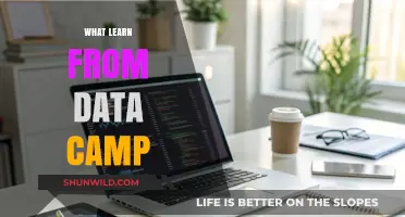 Unlocking Insights: My Journey with DataCamp