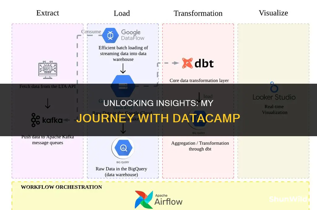 what learn from data camp
