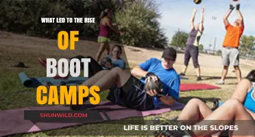 The Rise of Boot Camps: Unraveling the Driving Forces Behind Their Popularity