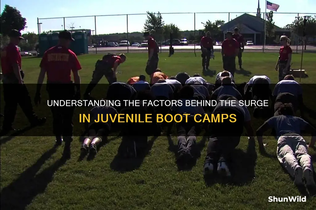 what led to the rise of juvenile boot camps