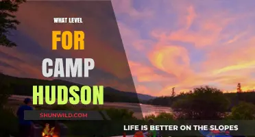 Unlocking Camp Hudson: A Beginner's Guide to Level Selection