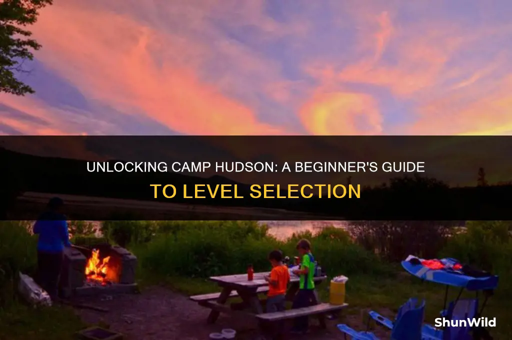 what level for camp hudson
