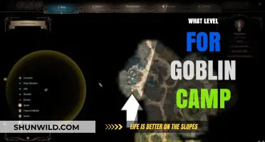 Goblin Camp Strategies: Optimal Levels for Success