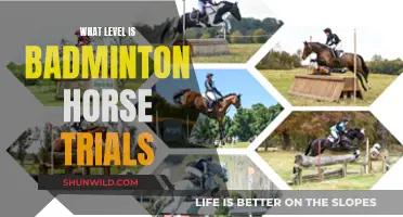 Badminton Horse Trials: Demanding Test of Skill