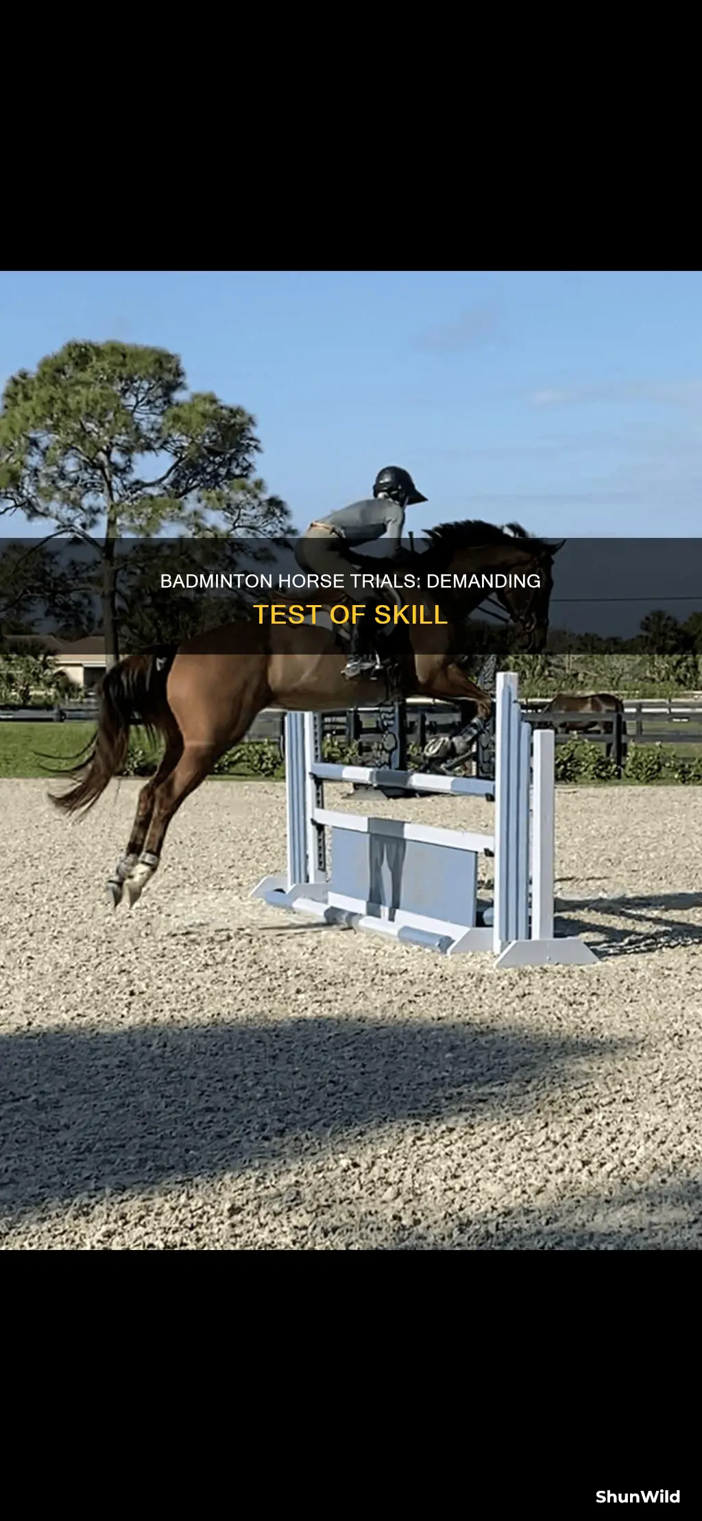 what level is badminton horse trials
