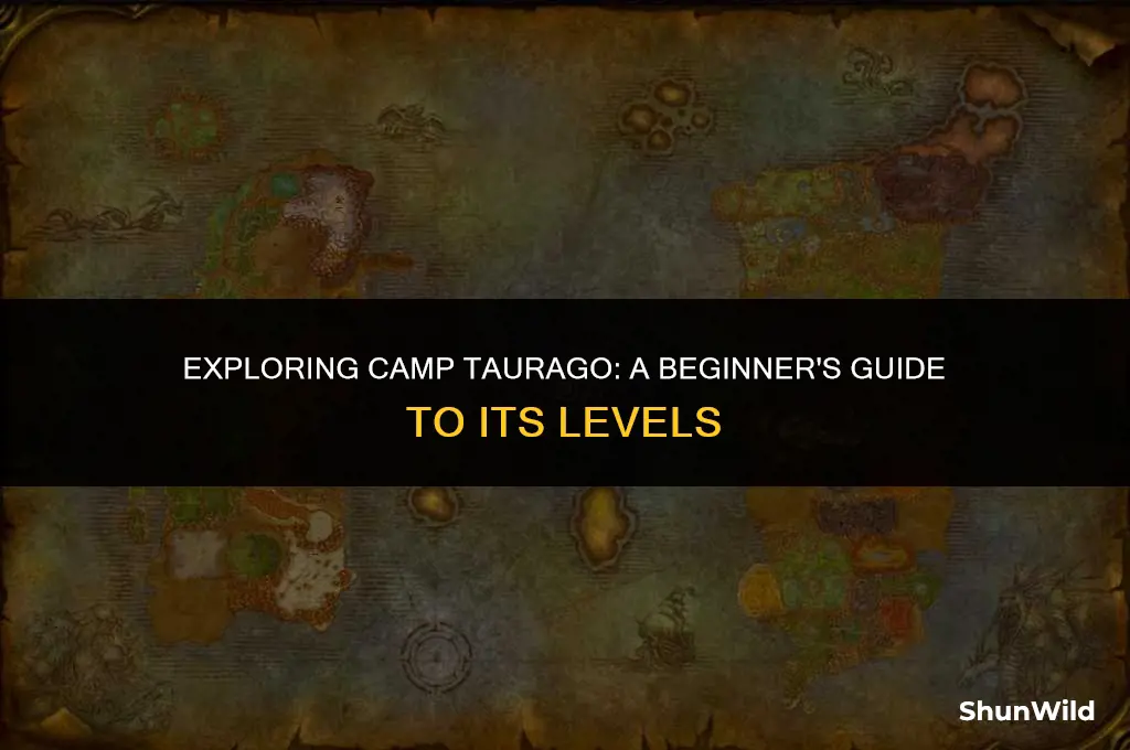 what level is camp taurago