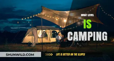 Exploring the Great Outdoors: A Beginner's Guide to Camping Levels