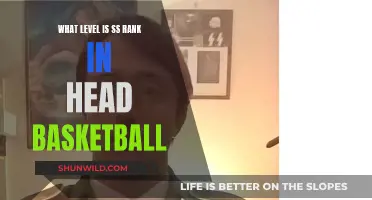 Head Basketball: Unlocking the Exclusive SS Rank