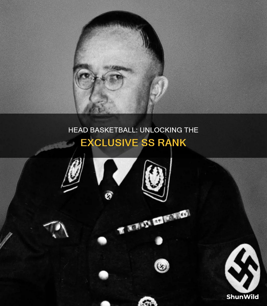 what level is ss rank in head basketball