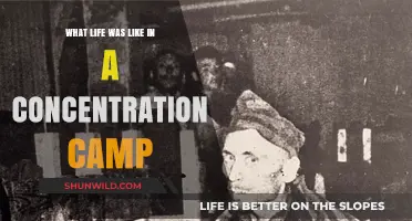 Surviving the Unimaginable: Daily Life in Concentration Camps