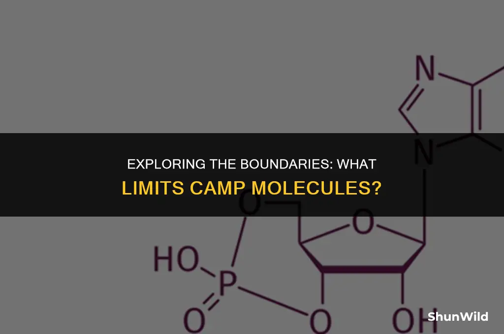 what limits camp molecules