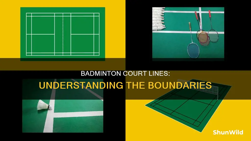 what lines are out in badminton