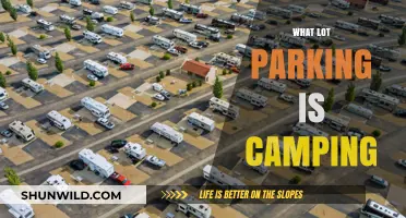 Exploring the Great Outdoors: A Guide to Lot Parking for Campers