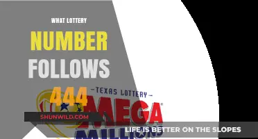 Unveiling the Next Lottery Number After the Triple Fours: 444