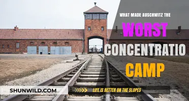 Auschwitz: The Most Notorious Concentration Camp's Dark Legacy Explained