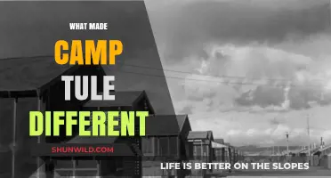 Unveiling the Unique Legacy of Camp Tule: A Historical Perspective