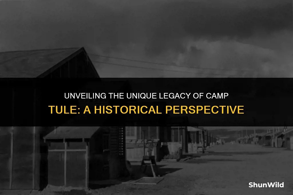 what made camp tule different