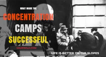 The Dark Efficiency: Factors Behind Concentration Camps' Operational Success