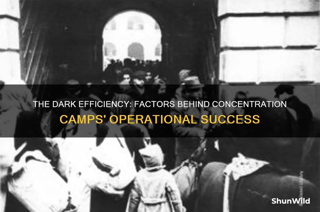 what made the concentration camps successful