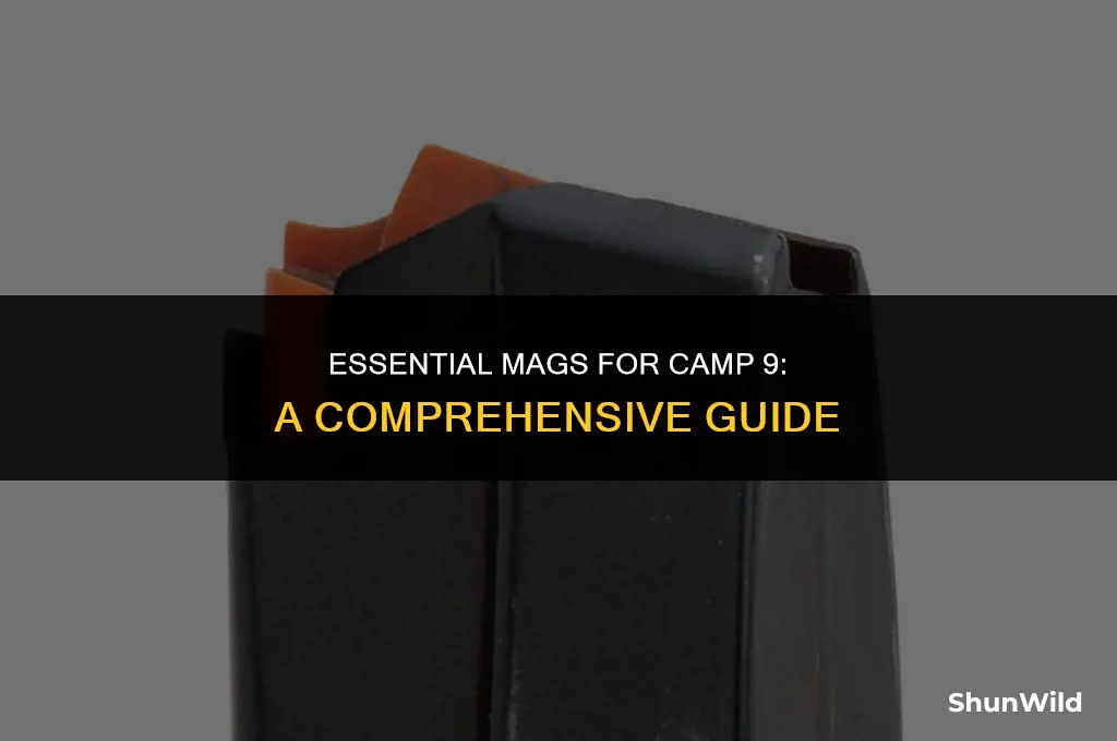 what mags for camp 9