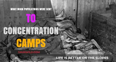 Targeted Groups in Concentration Camps: A Historical Overview of Victims