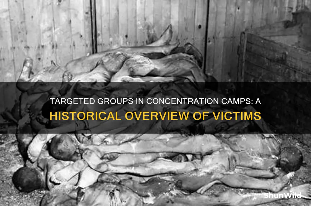 what main populations were sent to concentration camps