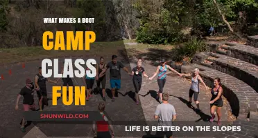 Energizing Workouts: The Key Elements That Make Boot Camp Classes Fun