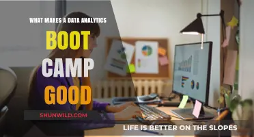 Key Features of a Top-Tier Data Analytics Boot Camp